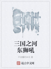 三国之河东狮吼章节列表