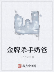 金牌杀手奶爸章节列表