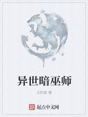 异世暗巫师章节列表