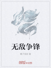无敌争锋章节列表
