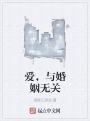 爱，与婚姻无关章节列表