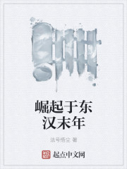 崛起于东汉末年章节列表