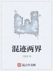 混迹两界章节列表