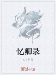 忆卿录章节列表