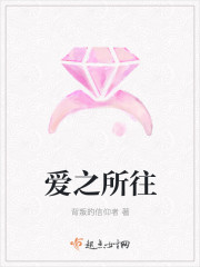 爱之所往章节列表