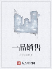 一品销售章节列表