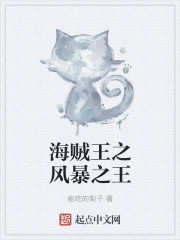海贼王之风暴之王章节列表