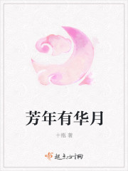 芳年有华月章节列表