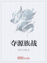 夺源族战章节列表
