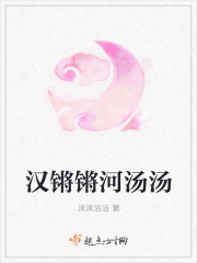 汉锵锵河汤汤章节列表