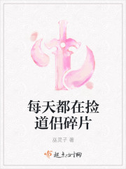 每天都在捡道侣碎片章节列表