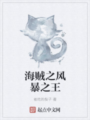 海贼之风暴之王章节列表
