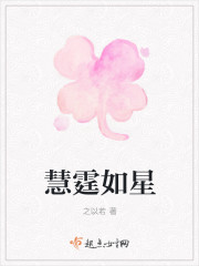 慧霆如星章节列表