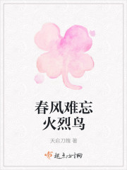 春风难忘火烈鸟章节列表