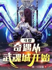 斗罗：奇遇从武魂城开始章节列表