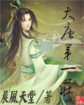 大唐第一庄章节列表