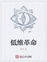 低维革命章节列表