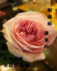 相遇前遇见后章节列表