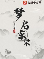 梦启东梁章节列表