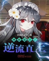 神奇宝贝之逆流直上章节列表