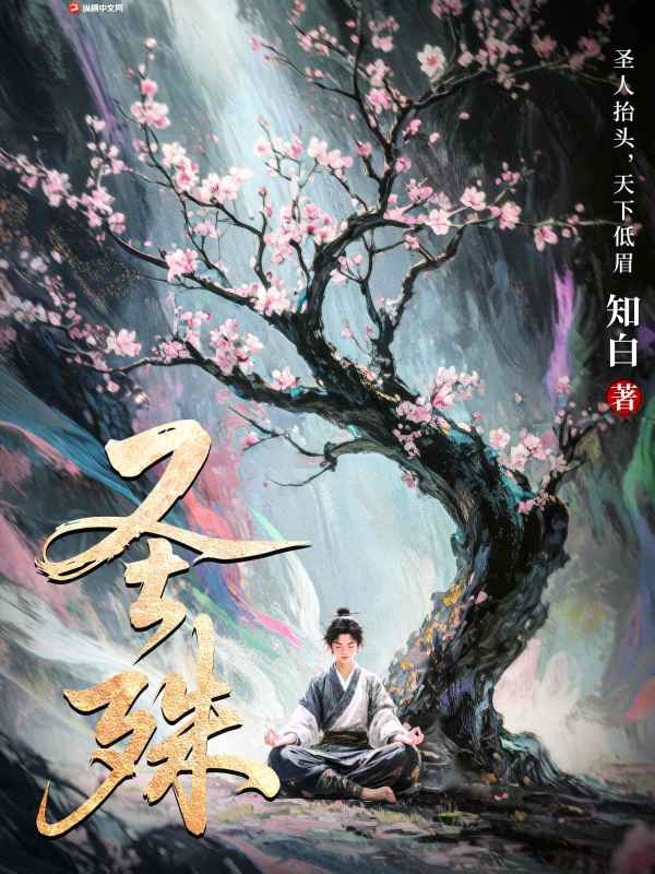 圣殊章节列表