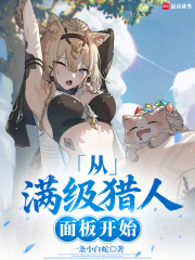 从满级猎人面板开始章节列表