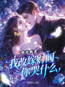 你出轨老三，我改嫁财阀你哭什么章节列表