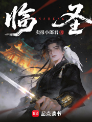 临圣章节列表