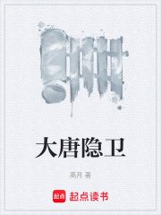 大唐隐卫章节列表