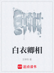 白衣卿相章节列表