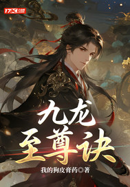 九龙至尊诀章节列表