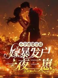 不孕被婆家赶，嫁暴发户一夜三崽章节列表