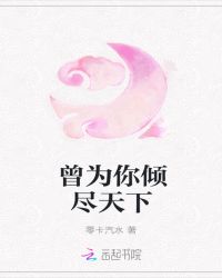 曾为你倾尽天下章节列表