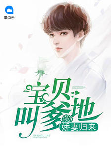 娇妻归来：宝贝叫爹地章节列表
