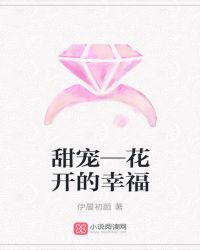 甜宠—花开的幸福章节列表