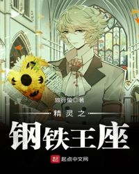 精灵之钢铁王座章节列表