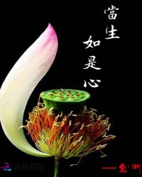 当生如是心章节列表