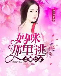 爹地快追，妈咪哪里逃章节列表