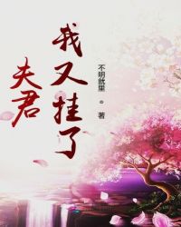 夫君我又挂了章节列表