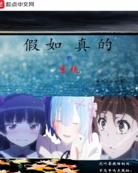 假如真的有系统章节列表