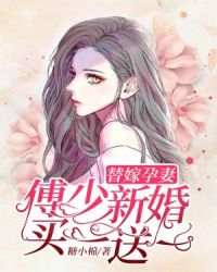 替嫁孕妻：傅少新婚买一送一章节列表