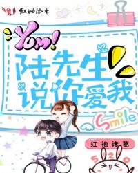 陆先生说你爱我章节列表