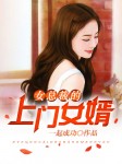 王婿章节列表