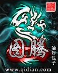 图腾章节列表