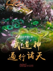 武道神通行诸天章节列表
