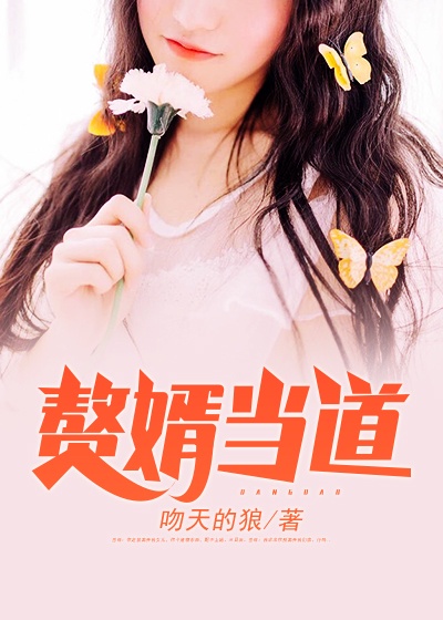 上门赘婿吻天的狼章节列表
