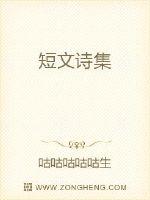 短文诗集章节列表
