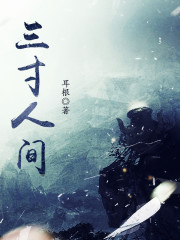 三寸人间笔趣阁章节列表