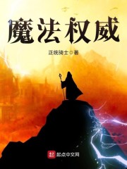 魔法权威章节列表