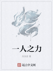 一人之力章节列表